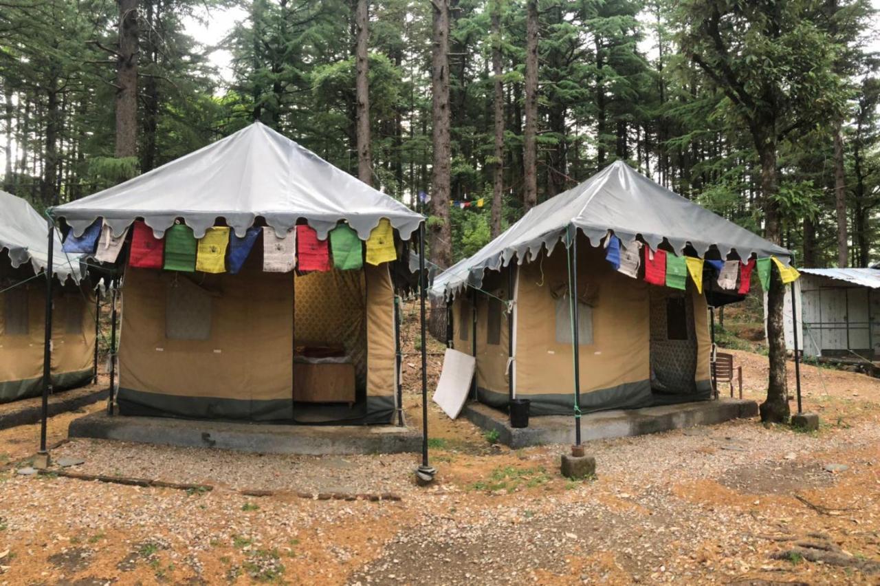 Himtrek Stays,Mcleodganj McLeod Ganj Exterior foto