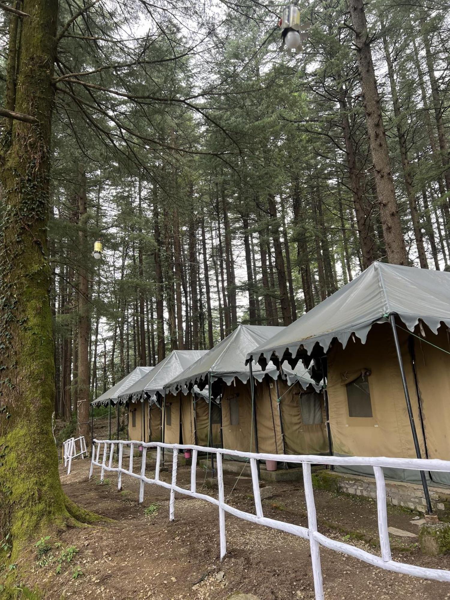 Himtrek Stays,Mcleodganj McLeod Ganj Exterior foto