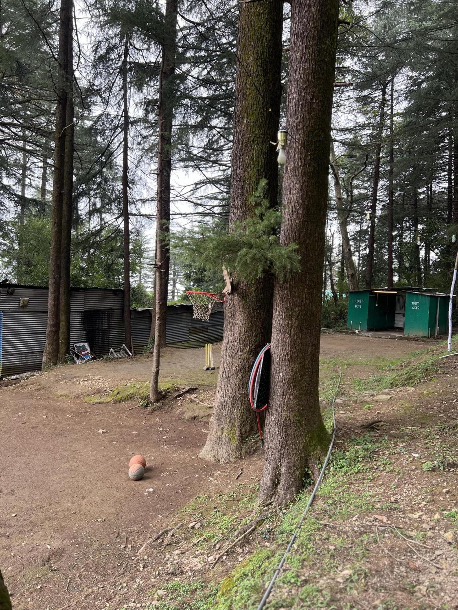 Himtrek Stays,Mcleodganj McLeod Ganj Exterior foto