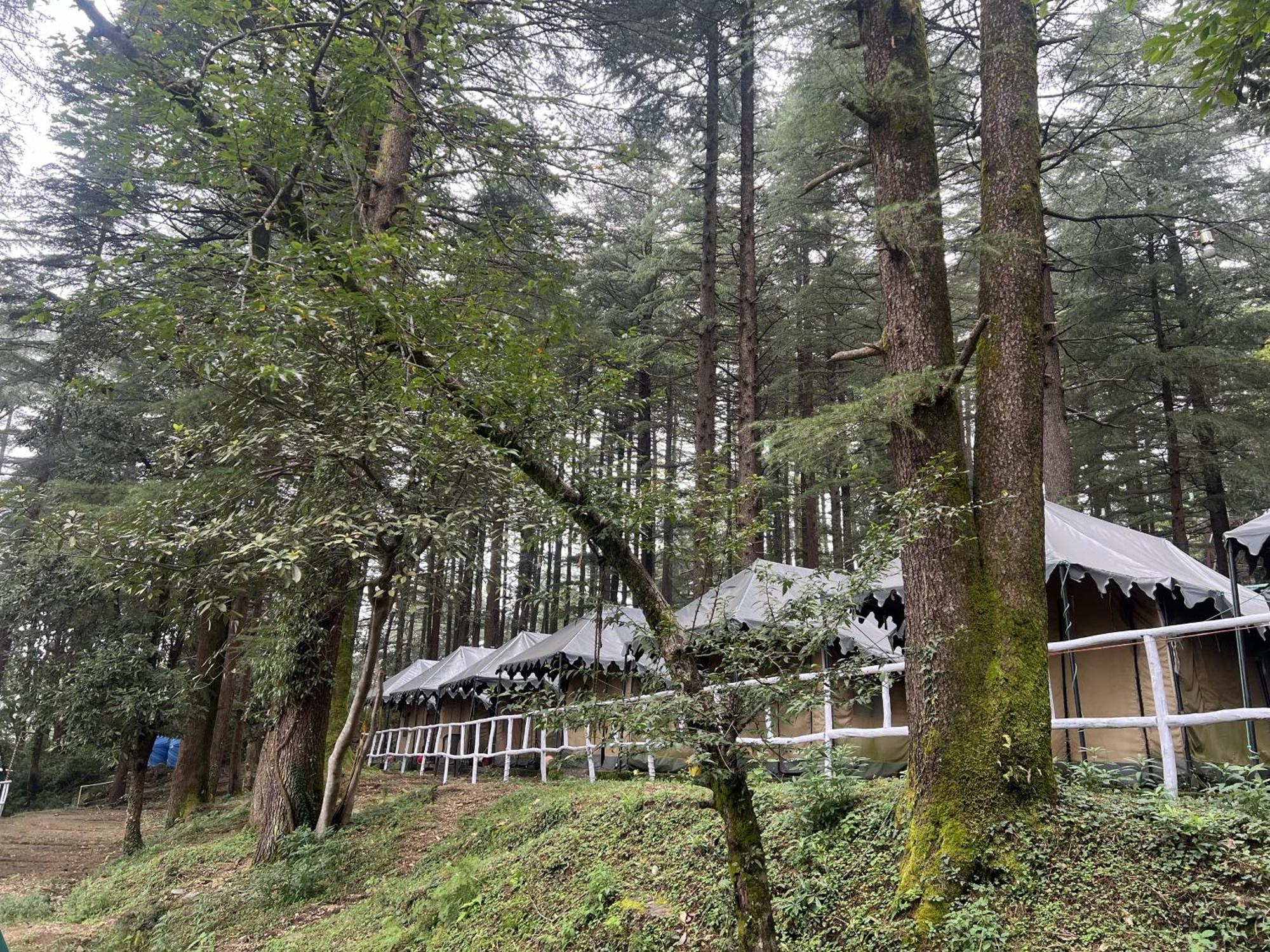 Himtrek Stays,Mcleodganj McLeod Ganj Exterior foto