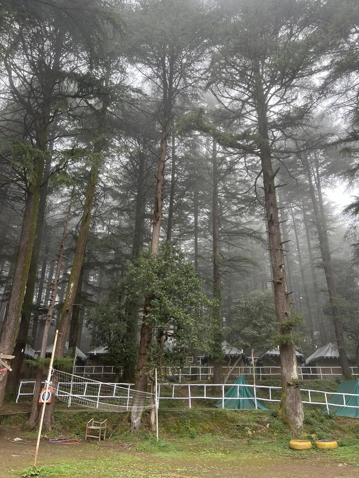 Himtrek Stays,Mcleodganj McLeod Ganj Exterior foto