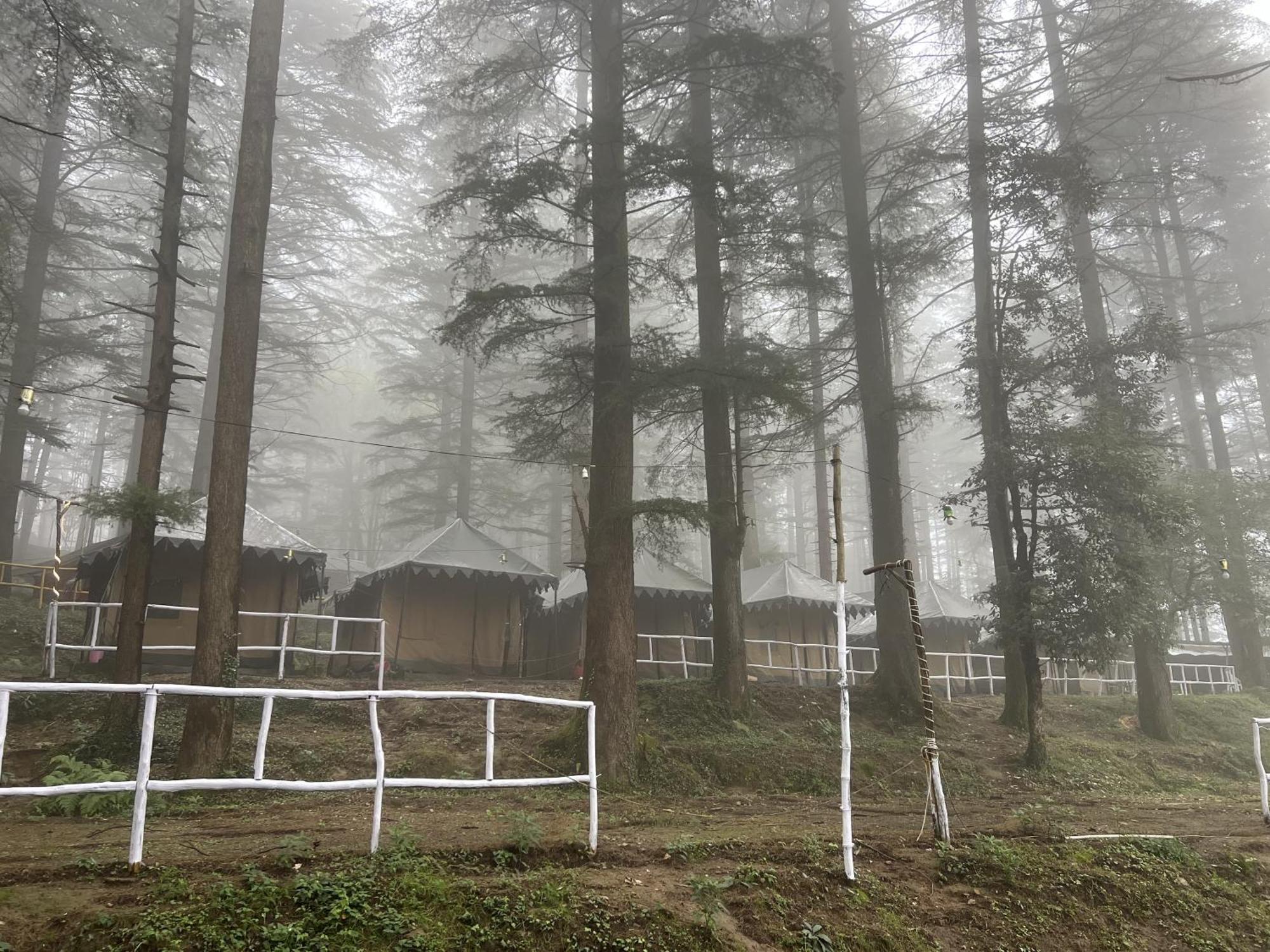 Himtrek Stays,Mcleodganj McLeod Ganj Exterior foto